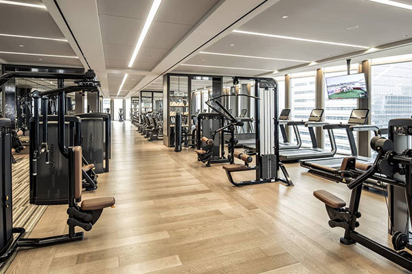 Ғылым фитнеске бағыттайды және салауатты өмір сүруден ләззат алады