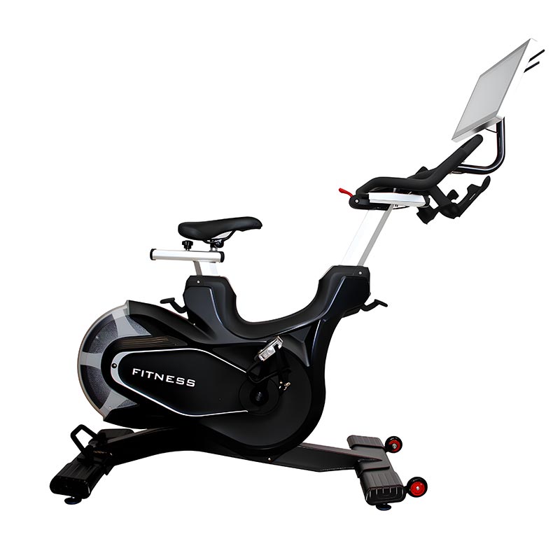 Magnetic Resistance Exercise Bike