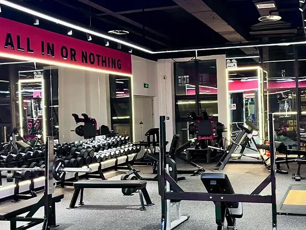 Commercial Gym