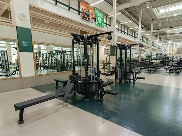 Commercial Gym