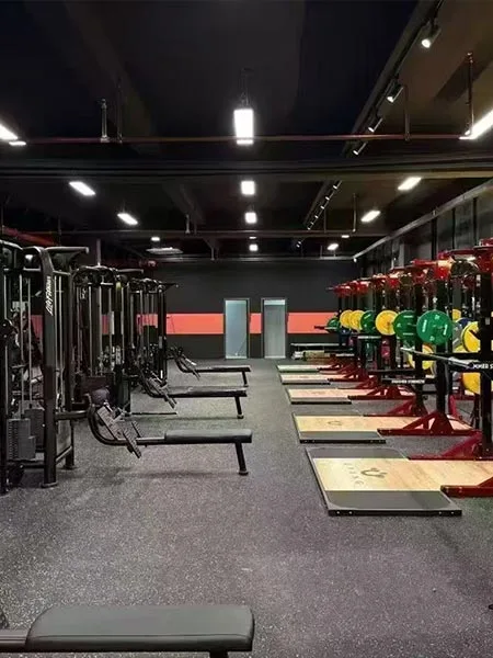 Commercial Gym